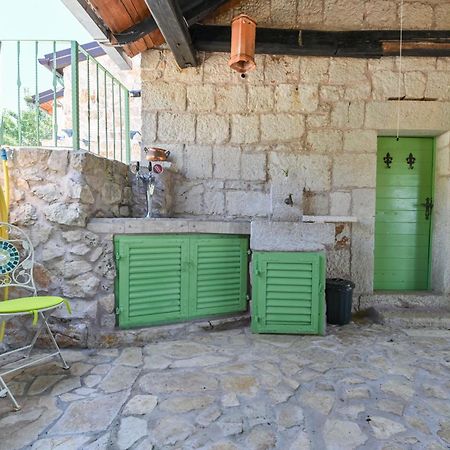 Villa Pristinus Krstatice エクステリア 写真