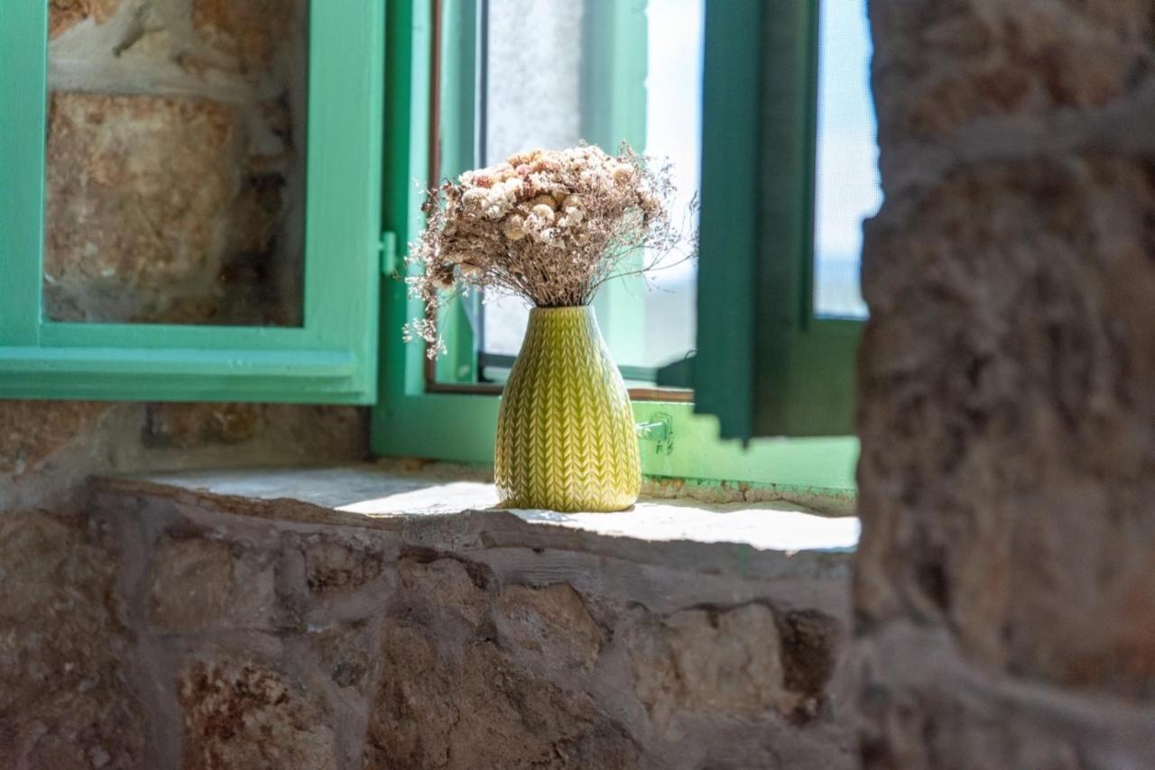 Villa Pristinus Krstatice エクステリア 写真